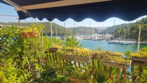 Skradin Apartamento | Wine Garden old apartment