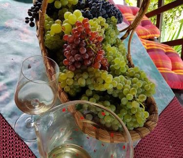 Videm Casa | Wine & Nature & Tour