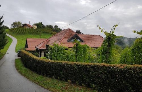 Videm Casa | Wine & Nature & Tour