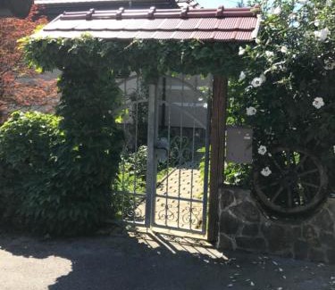 Videm Casa | Wine & Nature & Tour