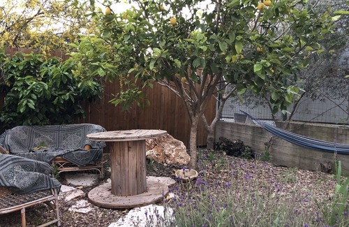 Givat Nili Casa | Villa del enólogo en la naturaleza
