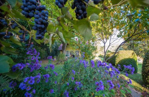 Pirching an der Raab Casa | Winemakers Escape