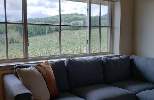 Kelseyville Apartamento | Winery Stay in the Vineyard Loft tucked amongst the vines at Boatique Winery