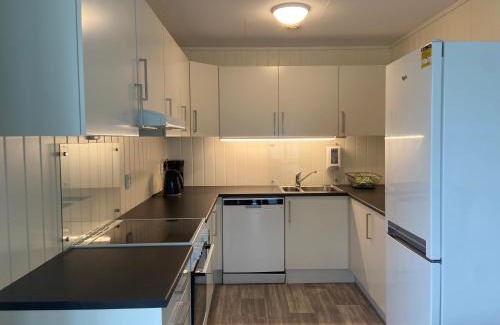 Aurland Apartamento | Winjum Apartments Aurland Stegastein