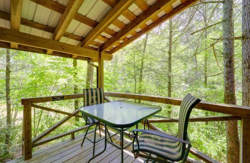 Vein Mountain Casa | Winter Hiking and Hot Tub Soaks! Marion Mtn Cabin