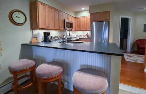 Ludlow Apartamento | Winterplace K102