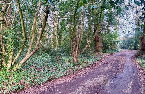 West Ashling Casa | Wintons Farmhouse