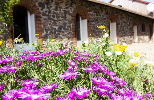 Adriers Cabaña | Casa rural Wisdom Gites - Meadow View con piscina, jardín y wifi gratis,