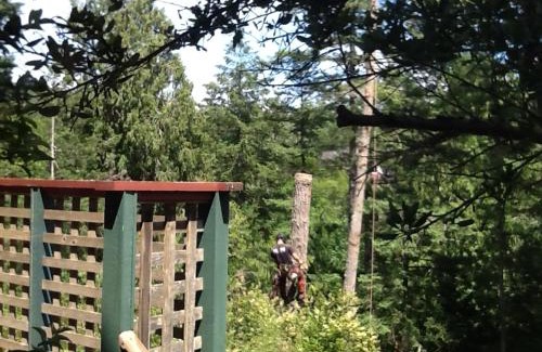 Sooke Cama Y Desayuno | Wisteria Honeymoon Cottage