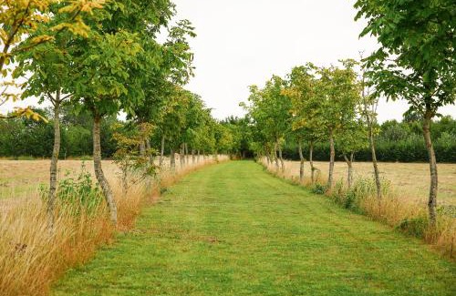 Patrixbourne Casa | Wisteria Lodge - Stylish Countryside Lodge on 25-Acre Estate
