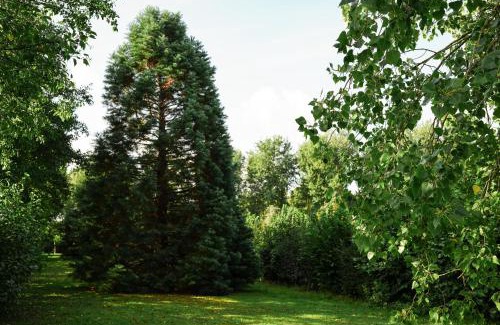 Patrixbourne Casa | Wisteria Lodge - Stylish Countryside Lodge on 25-Acre Estate