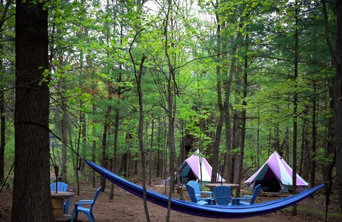 Adams County Alquiler De RV | Witchin' Vibes Campground-Private Oasis for Group Camping