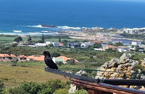 Kleinmond Casa | Witteklip self-catering farm