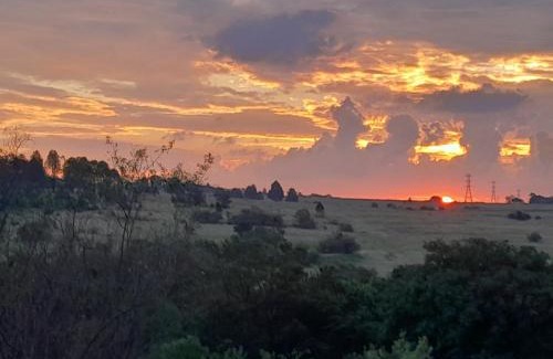 Greater Johannesburg Metropolitan Area Casa | Woburn Guest House