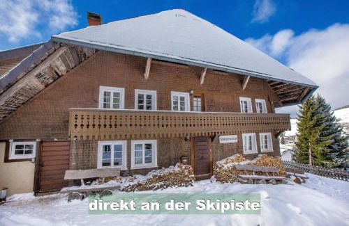 Todtnauberg Apartamento | Wohlfühl-Ferienwohnung 80 qm, 8 Personen, Aussicht & Heimkino