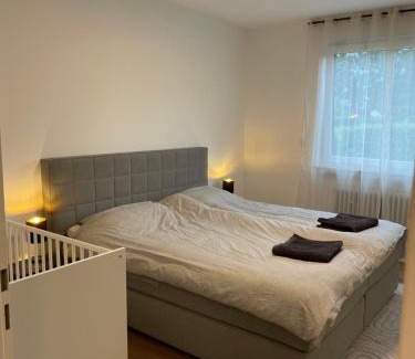Jungfernkopf Apartamento | Wohlfühlen bei DG