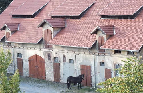 Falkenstein Apartamento | Wohnen auf dem Rittergut