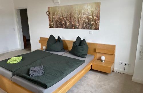 Hohenstein-Ernstthal Apartamento | Wohnen in der alten Max Selbmann Villa