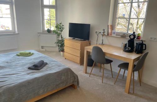 Hohenstein-Ernstthal Apartamento | Wohnen in der alten Max Selbmann Villa