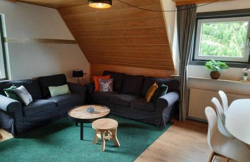 Rattlar Apartamento | Wohnung bei Willingen für Wintersport
