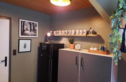 Rattlar Apartamento | Wohnung bei Willingen für Wintersport