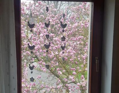 Glesien Apartamento | Wohnung im Grünen, Haus Cara, 120m², 4 Zi, Kü, Bad