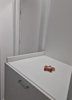 Zagreb Apartamento | Wohnung in Nähe Maksimir EG