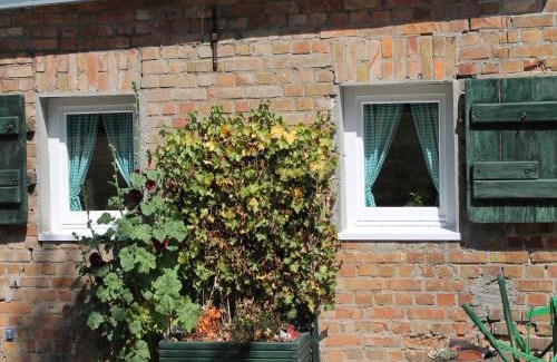 Damgarten Apartamento | Wohnung in Ribnitz Damgarten, cleaning included