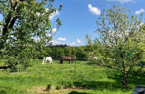Waging am See Apartamento | Wohnung mit Bergblick