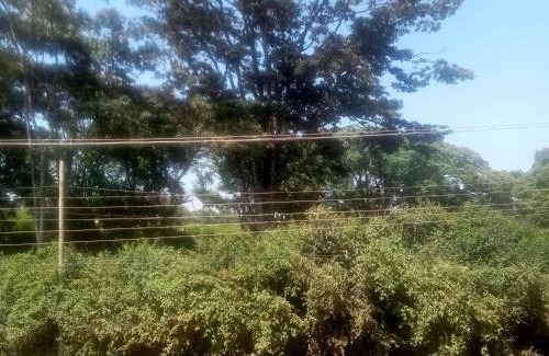 Nyeri Apartamento | Wolf Cabins 2