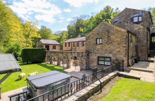Preston Casa | Wolfen Mill