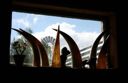 Plathuis Casa | Wolverfontein Karoo Cottages