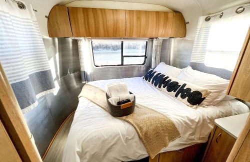 Pear Park Casa | Wonderful Airstream in Grand Junction, Perfect for Glamping Getaways in Colorado