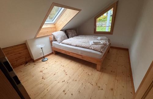 Oberried am Brienzersee Apartamento | Wonderful Apartment with Lake View