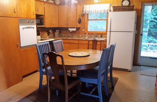 Shelby Cabina | Wonderful family cottage with beautiful, huge, white sand Lake Michigan beach