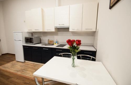Uzhhorod Apartamento | Wonderful flat on city center (Mukachivska 4/14)