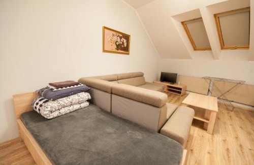 Uzhhorod Apartamento | Wonderful flat on city center (Mukachivska 4/15)