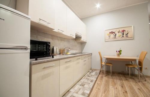 Uzhhorod Apartamento | Wonderful flat on city center (Mukachivska 4/15)