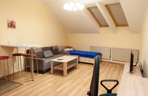 Uzhhorod Apartamento | Wonderful flat on city center (Mukachivska 4/17)