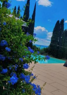 Pai Apartamento | Wonderful Lake View Apartments with Pool with Breakfast GARDASEE