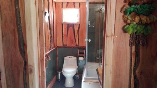 Pucon Casa | Wonderful rustic cabin, with native trees, with Rio Trancura, equipped