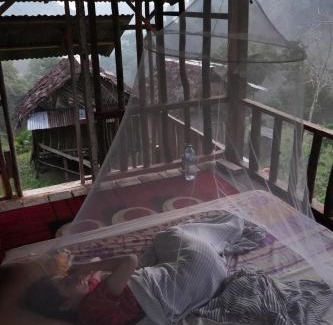 Bukit Lawang Casa | WOOD CABIN LODGE IN THE FOREST book here treking with us
