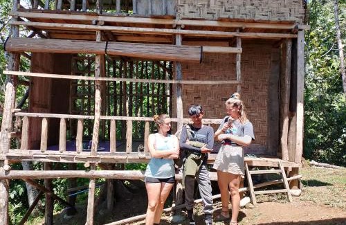 Bukit Lawang Casa | WOOD CABIN LODGE IN THE FOREST book here treking with us