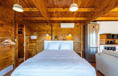 Castelo de Paiva Casa | Wood House Amazing View Douro