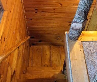 Sylva Chalet De Esquí | Woodard Cabin
