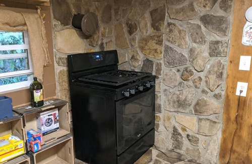 Sylva Chalet De Esquí | Woodard Cabin