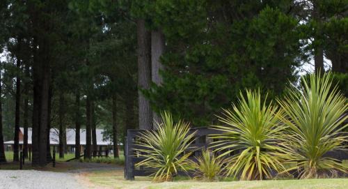 Hanmer Springs Chalet De Esquí | Woodbank Park Cottages