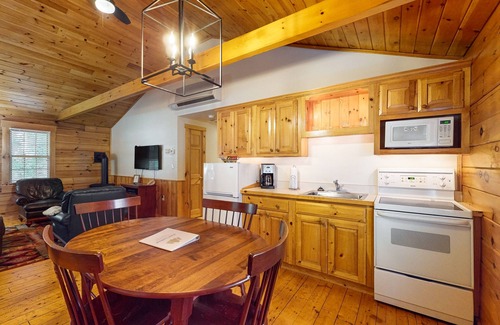 Northport Cabina | Wooded view cabin near hiking trails with kitchen & fireplace - dog-friendly