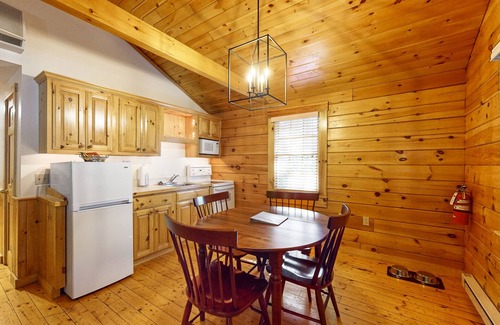Northport Cabina | Wooded view cabin near hiking trails with kitchen & fireplace - dog-friendly