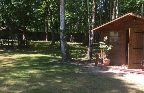 Noisy-sur-Ecole Chalet De Esquí | Wooden chalet in the middle of a wooded park
